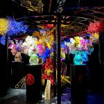 花の前に60分立ち尽くしてしまった｜假屋崎省吾さんの「空間デザインの力」